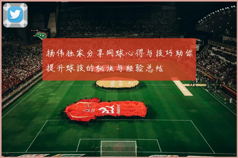 杨伟独家分享网球心得与技巧助你提升球技的秘诀与经验总结