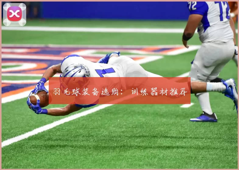 羽毛球装备选购：训练器材推荐