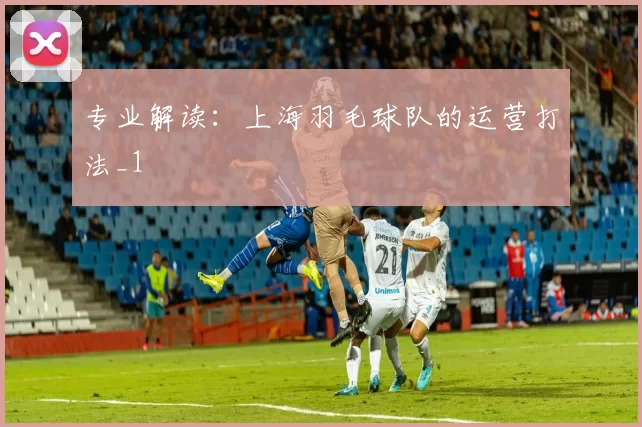 专业解读：上海羽毛球队的运营打法_1