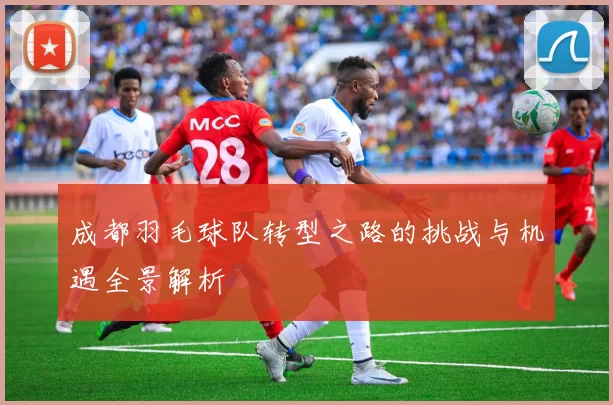 成都羽毛球队转型之路的挑战与机遇全景解析