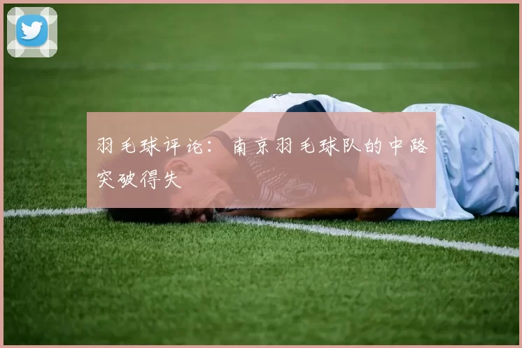 羽毛球评论：南京羽毛球队的中路突破得失