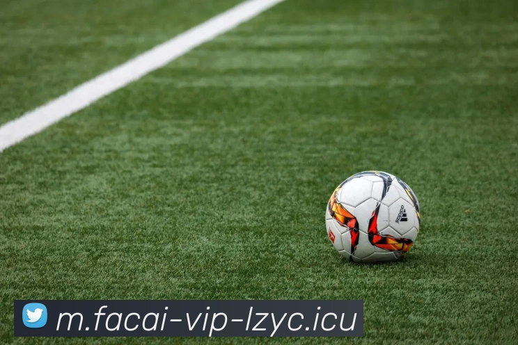 爱游戏体育APP 高清赛事图